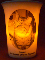 Amber LED battery light mourninglight memorial candle